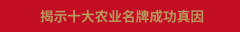 农本智制 广河羊羔肉 清实好羊肉