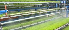生态种养、科技帮力 “新农夫”玩转聪慧农业